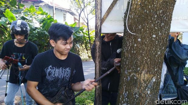 Pemuda Ciamis Cabut Ratusan APK yang Dipaku di Pohon