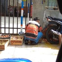 Kasihan! Driver Ojol Ini Tak Sengaja Jatuhkan Beberapa Peti Telur Ayam