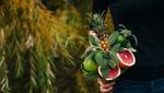 Bukan Rangkaian Bunga, 10 Buket Cantik Ini Terbuat Dari Sayuran