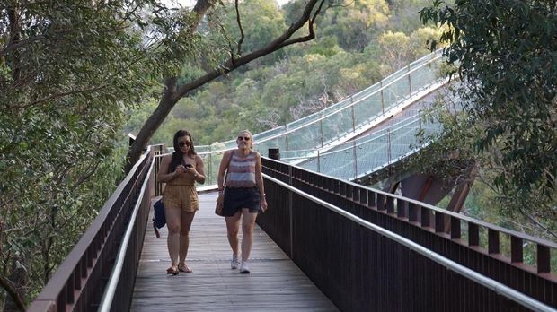 Wisata Teduh di Kings Park and Botanic Garden