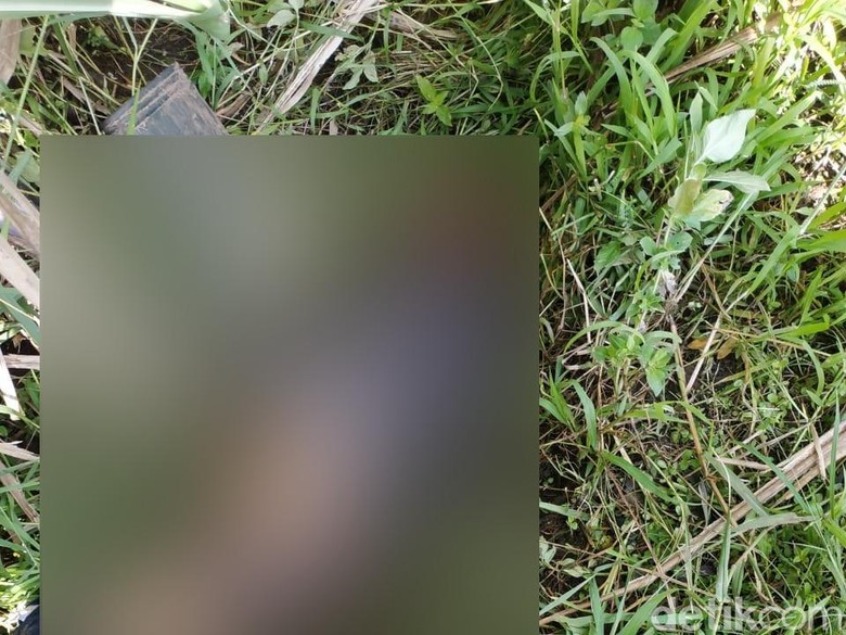Polisi Cari Traktor Pria di Malang Tewas dengan Luka Polisi Cari Traktor Pria di Malang Tewas dengan Luka