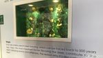 Foto: Museum Bir Kebanggaan China