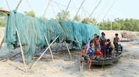 Di seluruh Sundarbans, lebih dari 4,5 juta penduduknya bertahan hidup dengan memancing di aliran sungai atau masuk ke hutan mengumpulkan kayu atau madu. Setiap tahun harimau menyerang hingga 60 orang dan kebanyakan dari korban tidak selamat (BBC Travel)