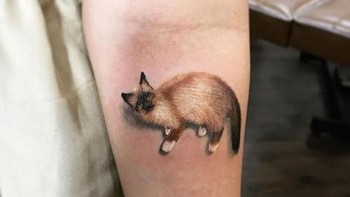Gemas dengan tato kucing ini. Foto: Boredpanda