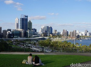 Taman Kota Terbesar Sedunia di Perth: Kings Park & Botanical Garden
