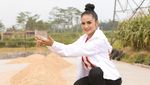 Ini Dia 15 Artis yang Lolos ke DPR (1)