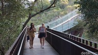 Jembatan pejalan kaki melengkung dari baja dan kaca di Botanical Garden. Menggantung 52 meter di atas permukaan tanah, jembatan ini ada di atas pohon (Ahmad Masaul Khoiri/detikcom)