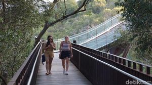 Foto: Kings Park di Perth, Taman Kota Terbesar Sedunia