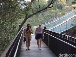 Foto: Kings Park di Perth, Taman Kota Terbesar Sedunia