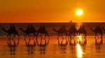 Foto: 7 Wisata Petualangan Terbaik di Australia Barat