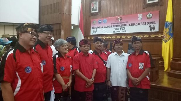 Hore! Anjing Kintamani Diakui Sebagai Ras Asli Indonesia