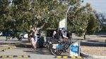 Foto: Kings Park di Perth, Taman Kota Terbesar Sedunia