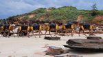 Foto: 7 Wisata Petualangan Terbaik di Australia Barat