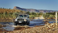 Mobil 4WD membelah Sungai Pantecost. Saat menjelajah alam liar, kamu mungkin bisa berjumpa kanguru (Tourism Western Australia)