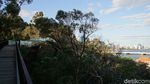 Foto: Kings Park di Perth, Taman Kota Terbesar Sedunia