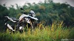 Aksesori untuk Motor Petualang BMW 310 GS Adventure