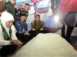 Sektor Garam Rakyat Kini Berhak Mendapatkan KUR