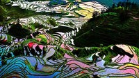 Sawah Yuanyang di China, wilayah ini merupakan tempat tinggal suku Hami dan Yi, mereka menciptakan jajaran sawah bertingkat yang monumental dan telah membuat daerah itu terkenal. Istimewa/easemytrip.com.