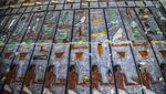 Melihat Bagian Dalam Makam 4 Ribu Tahun di Mesir, Ada Gambar Pemiliknya