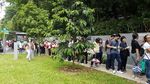 Mengular Panjang, Begini Antrean WNI yang Mau Nyoblos di Singapura