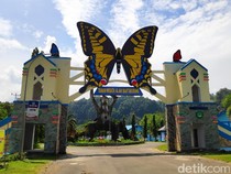 Pesona Keindahan Penangkaran Kupu-kupu di Taman Nasional Bantimurung Maros