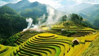 Sawah Mu Chang Chai di Vietnam, wilayah ini merupakan jajaran teras sawah paling menakjubkan di Vietnam, sejauh mata memandang dimanjakan dengan hijau kuning tanaman padi. Istimewa/easemytrip.com.