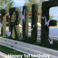 Di bagian luar, hadir spot dekorasi tanaman membentuk huruf TRUE yang dihiasi kupu-kupu putih. Foto: Dok. Instagram