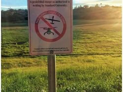 Hal-hal yang Cuma Ada di Silicon Valley