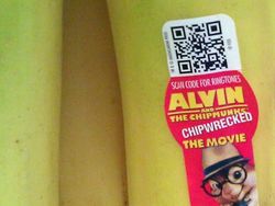 Hal-hal yang Cuma Ada di Silicon Valley