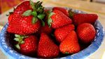 13 Fakta Unik Makanan yang Perlu Kamu Tahu