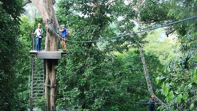 Turis Kanada Tewas Usai Terjatuh dari Atraksi Zipline di Thailand Turis Kanada Tewas Usai Terjatuh dari Atraksi Zipline di Thailand