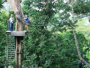 Turis Kanada Tewas Usai Terjatuh dari Atraksi Zipline di Thailand