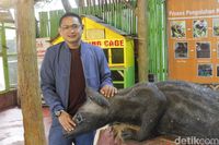 Menyeruput Kopi Sambil Luluran Kopi Luwak di Cikole