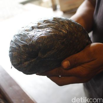 Menyeruput Kopi Sambil Luluran Kopi Luwak di Cikole