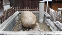 Koin 5 JPY atau disebut go yen jadi uang yang paling sering dilemparkan, karena memiliki arti keberuntungan. (Bonauli/detikcom)