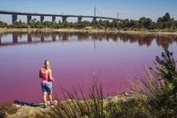 Turis penasaran dengan danau pink (iStock)