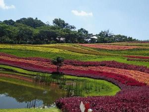Bogor Rasa Belanda, Penasaran?