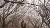 Punya gunung suci bernama Tai, juga membuat Taian dicintai oleh masyarakat China. Bahkan di Gunung Tai, ada sudut cantik yang sangat instagrammable. Tempat berada tak jauh dari Jade Emperor Temple. (Bonauli/detikcom)
