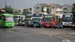 Warga Ramai-ramai Mudik Demi Bisa Nyoblos di Pemilu 2019