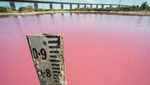 Foto: Danau Pink yang Cantik, Tapi Jangan Disentuh