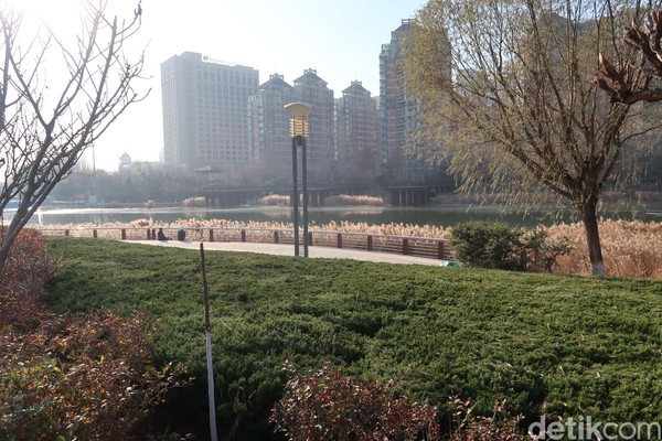 Begitu jelas, ada jejeran pohon dedalu yang menghiasi tiap pedesterian. Taman kota dan sungai yang terawat membuat Weifang begitu memikat. (Bonauli/detikcom)
