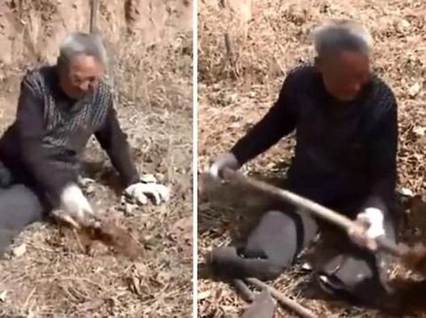 Auto Kagum! Perjuangan Pria Tua Tanam Pohon dengan Kondisi 2 Kaki Diamputasi