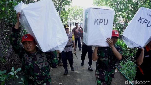 Panggul Kotak Suara Susuri Hutan Bakau Demi Semua Bisa Berpesta