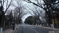 Lain ladang, lain belalang. Inilah Qingdao yang kotanya justru mirip Eropa. Pernah dijajah Jerman, membuat Qingdao memiliki tata kota yang sangat indah. (Bonauli/detikcom)