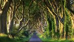 Foto: Game of Thrones Syuting di Tempat-tempat Indah Ini