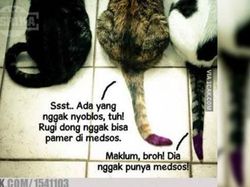 Deretan Meme Kocak Hibur Kamu Sebelum ke TPS