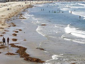 Demi Go Green, Hotel di California Larang Botol Shampo Plastik