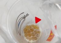 Wanita Ini Alami Keracunan Setelah Minum Bubble Tea