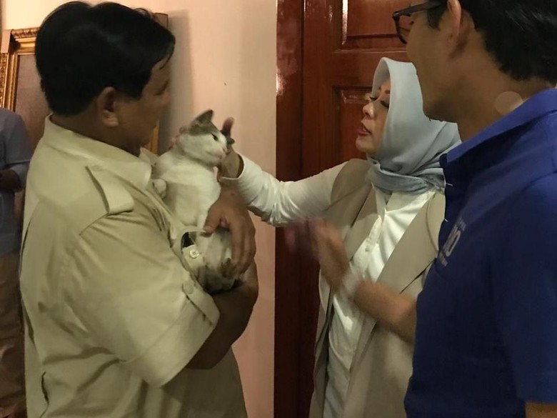 Prabowo Ajak Bobby The Cat Cek Sandiaga yang Cegukan Prabowo Ajak Bobby The Cat Cek Sandiaga yang Cegukan