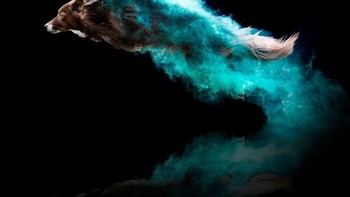 Hasilnya bisa dilihat seperti pada foto-foto ini. Foto: Instagram @jessbellphotography via Brainberries